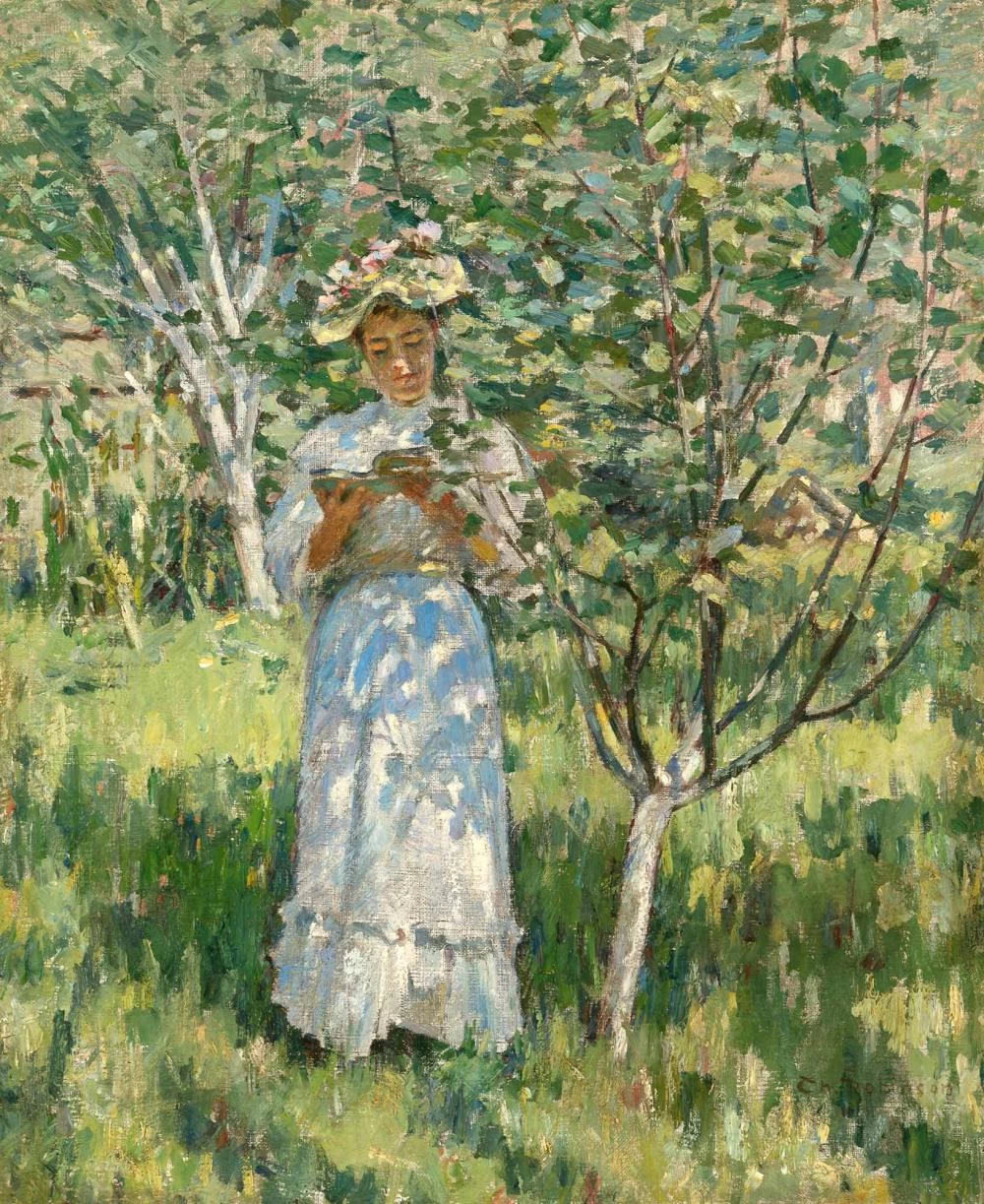 Luce del sole e ombre, 1894